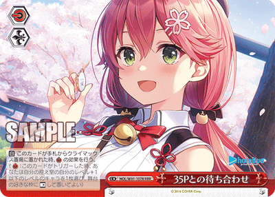 35Pとの待ち合わせ(HOL/W91-107R)